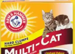 Walmart Arm & Hammer Cat Litter offer