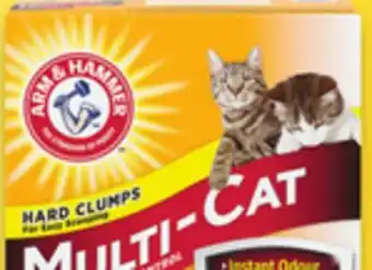 Walmart Arm & Hammer Cat Litter offer