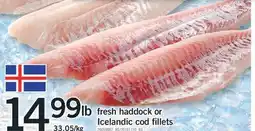 Fortinos FRESH HADDOCK OR ICELANDIC COD FILLETS offer