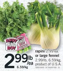 Fortinos RAPINI or LARGE FENNEL offer