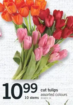 Fortinos CUT TULIPS, 10 STEMS offer