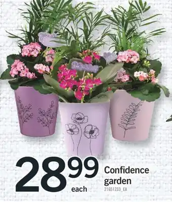 Fortinos CONFIDENCE GARDEN offer