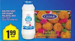 Food Basics DELPHI SALT OR CEDAR FALAFEL MIX offer