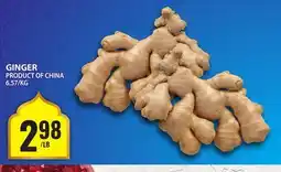 Food Basics GINGER offer