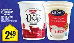 Food Basics CEDAR OR PHOENICIA YOGURT, HANS DAHI offer