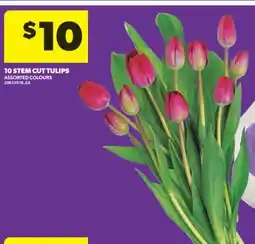 Real Canadian Superstore 10 STEM CUT TULIPS offer