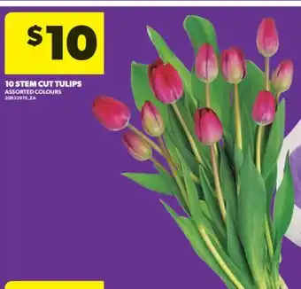 Real Canadian Superstore 10 STEM CUT TULIPS offer