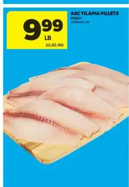 Real Canadian Superstore ASC TILAPIA FILLETS offer