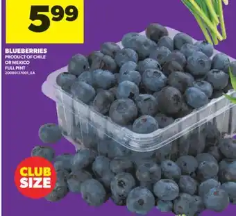 Real Canadian Superstore BLUEBERRIES offer