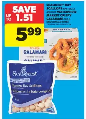 Real Canadian Superstore SEAQUEST BAY SCALLOPS, 100-150/LB 400 G OR WATERVIEW MARKET CRISPY CALAMARI, 300G offer