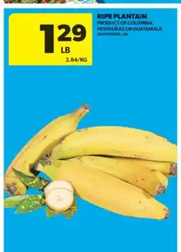 Real Canadian Superstore RIPE PLANTAIN offer