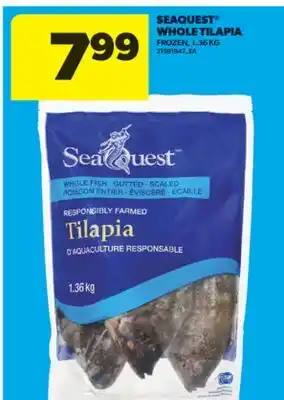 Real Canadian Superstore SEAQUEST WHOLE TILAPIA, 1.36 KG offer