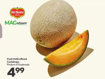 Longo's Fresh MAG nificent Cantaloupe offer