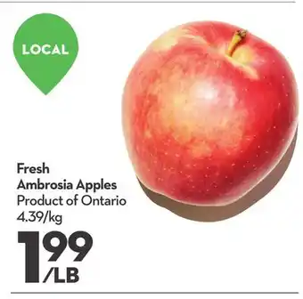 Longo's Fresh Ambrosia Apples offer