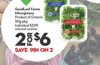 Longo's Microgreens offer