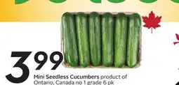 Sobeys Mini Seedless Cucumbers offer