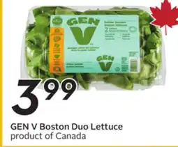 Sobeys GEN V Boston Duo Lettuce offer