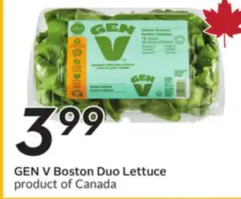 Sobeys GEN V Boston Duo Lettuce offer