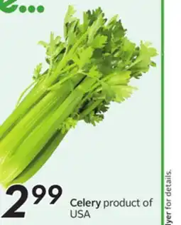 Sobeys Celery offer