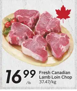 Sobeys Fresh Canadian Lamb Loin Chop offer