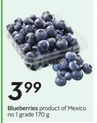 Sobeys Blueberries offer