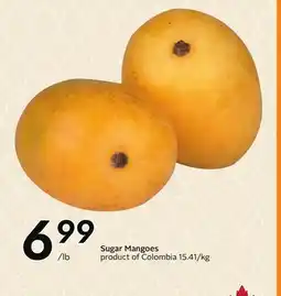 Sobeys Sugar Mangoes offer