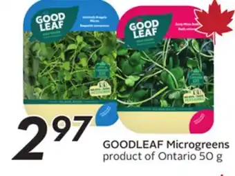 Sobeys GOODLEAF Microgreens offer