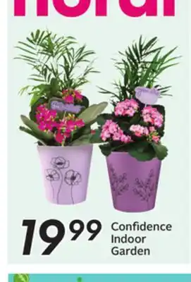 Sobeys Confidence Indoor Garden offer