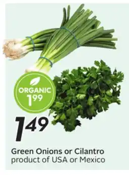 Sobeys Green Onions or Cilantro offer