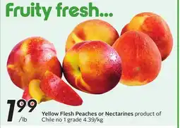 Sobeys Yellow Flesh Peaches or Nectarines offer