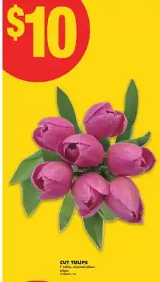 No Frills CUT TULIPS, 9 INCHES offer