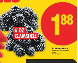 No Frills BLACKBERRIES, 6 OZ CLAMSHELL offer