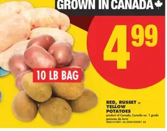 No Frills RED, RUSSET or YELLOW POTATOES offer