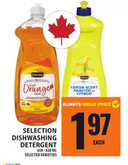 Food Basics SELECTION DISHWASHING DETERGENT offer