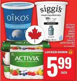 Food Basics ACTIVIA YOGURT OR OÎKOS GREEK YOGURT OR SIGGI'S SKYR YOGURT offer