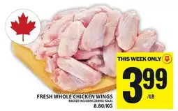 Food Basics FRESH WHOLE CHICKEN WINGS offer