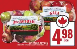 Food Basics ONTARIO APPLES offer