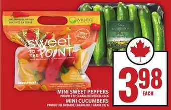 Food Basics MINI SWEET PEPPERS OR MINI CUCUMBERS offer