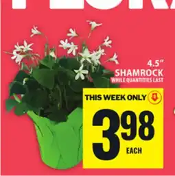 Food Basics 4.5 SHAMROCK offer