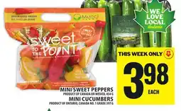 Food Basics MINI SWEET PEPPERS, MINI CUCUMBERS offer