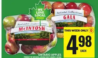 Food Basics MCINTOSH, GALA ONTARIO APPLES offer