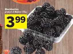 Foodland Blackberries offer