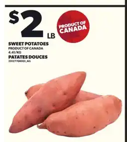 Independent Grocer SWEET POTATOES offer