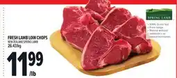 Metro FRESH LAMB LOIN CHOPS offer