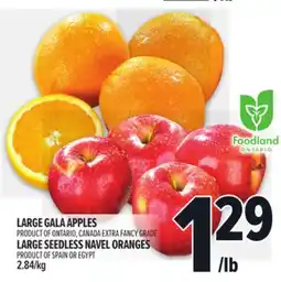 Metro LARGE GALA APPLES offer