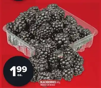 Metro BLACKBERRIES offer