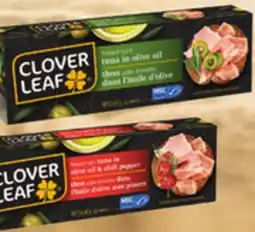 Metro CLOVER LEAF FLAKED LIGHT TUNA IN OLIVE OIL offer