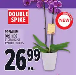 Metro PREMIUM ORCHIDS offer