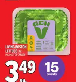 Metro LIVING BOSTON LETTUCE offer