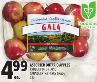 Metro ASSORTED ONTARIO APPLES offer